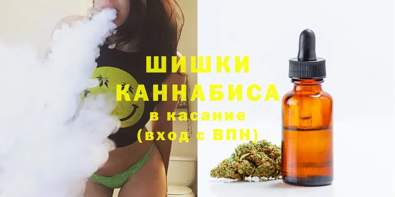 где можно купить   Санкт-Петербург  Марихуана OG Kush 